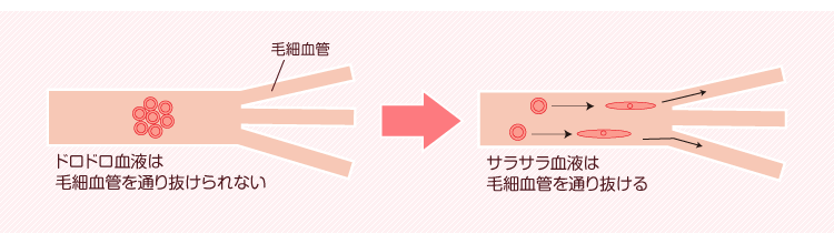 ドロドロ血液は毛細血管を通り抜けられない
      ↓
      サラサラ血液は毛細血管を通り抜ける