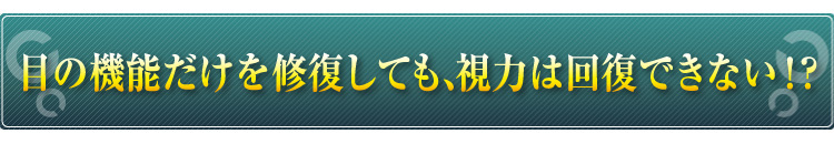 目の機能だけを修復しても、視力は回復できない！？