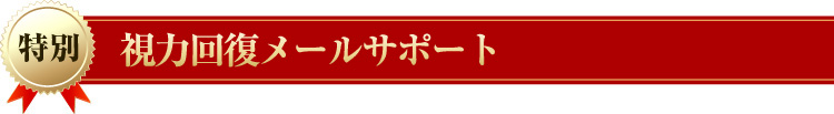 【特別】視力回復メールサポート