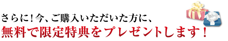 さらに！　今、ご購入いただいた方に無料で限定特典をプレゼントします！
